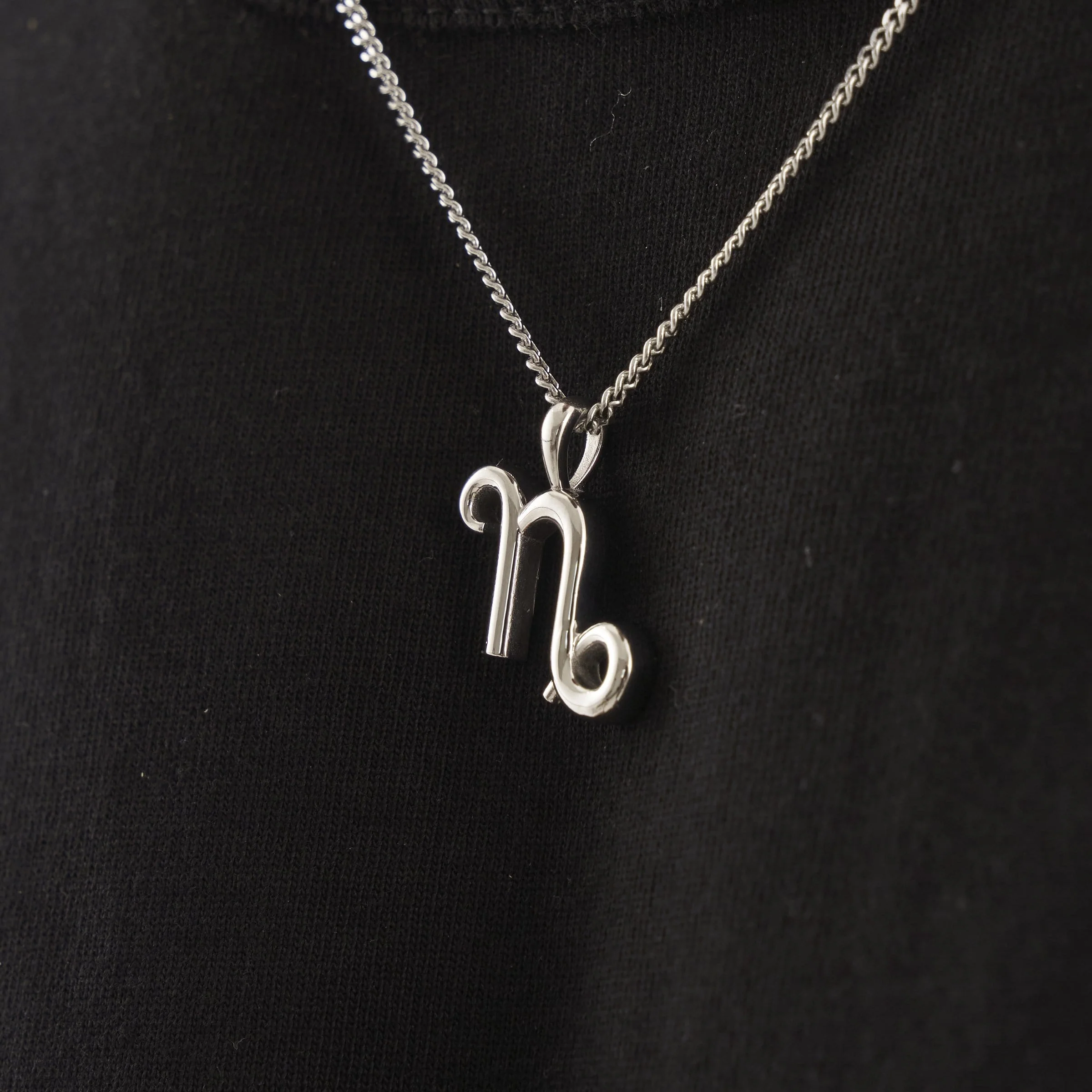 Capricorn (Silver) - Image 4