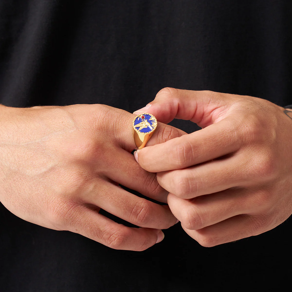 Enamel Swallow Signet Ring (Gold) - Image 4