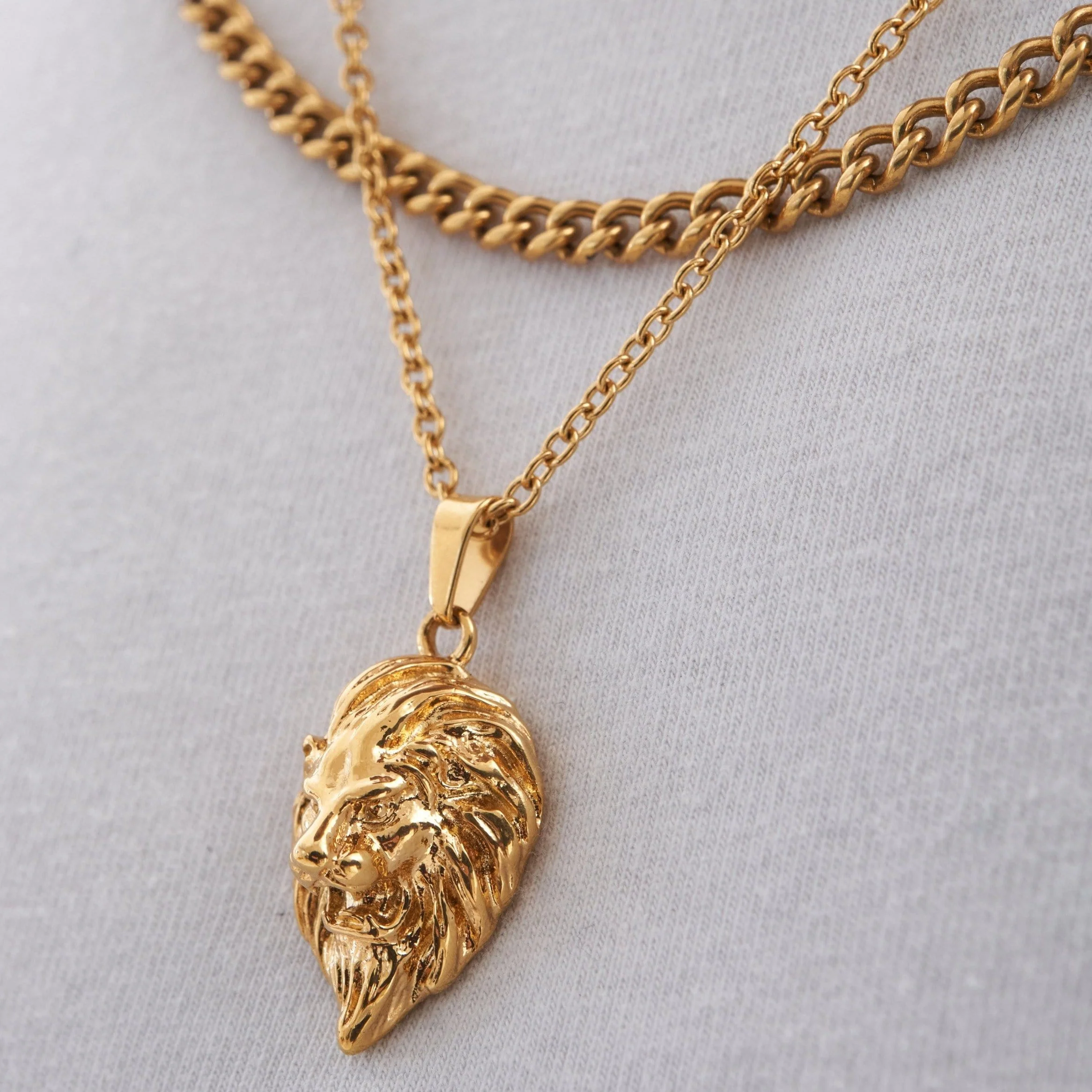 Lion (Gold) - Image 5