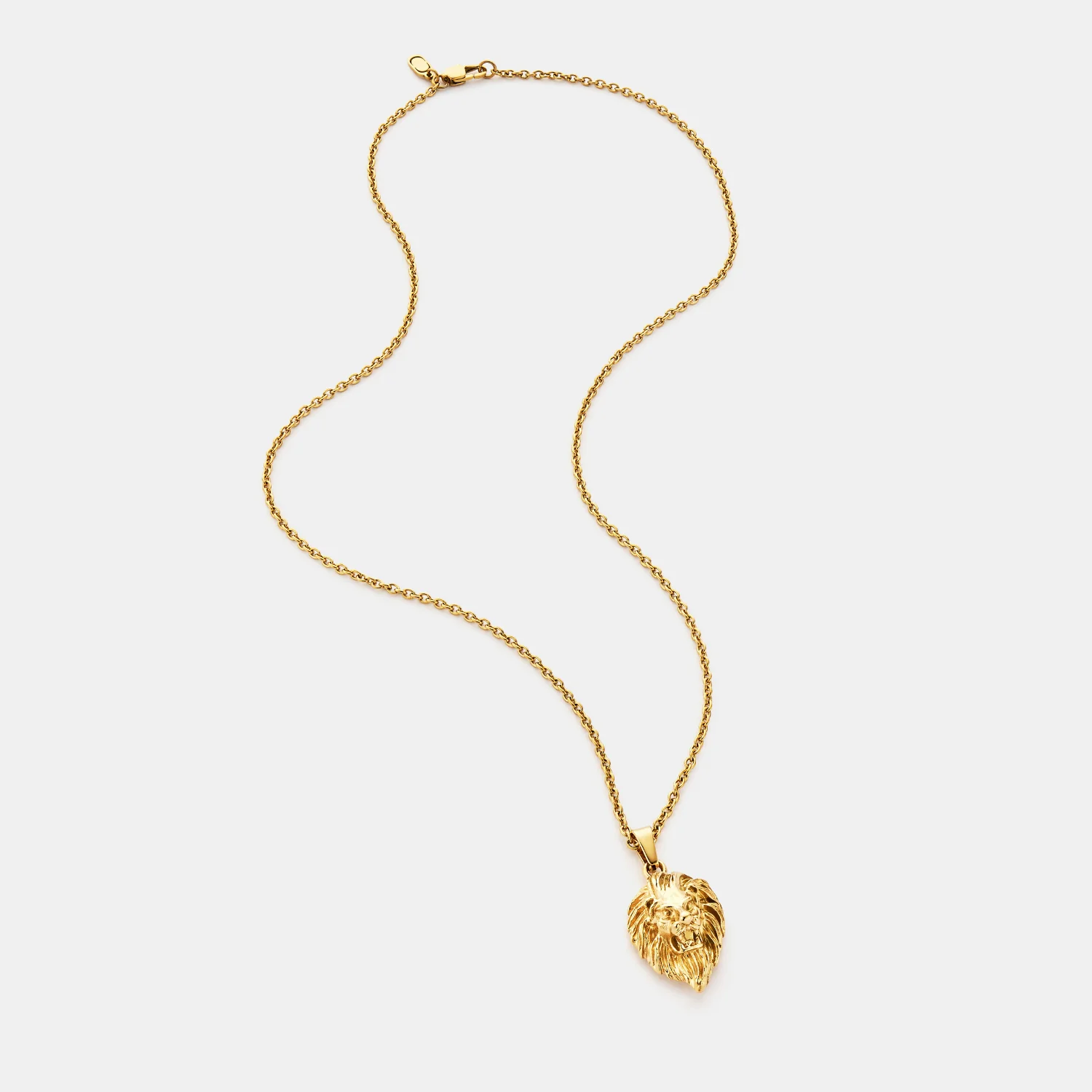 Lion (Gold) - Image 6